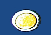 bd02