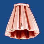 ca312cu