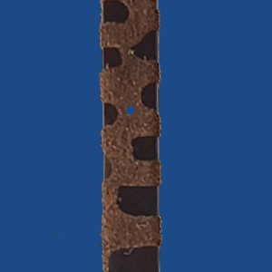 FCUN5BN
