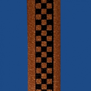 FCS10BN