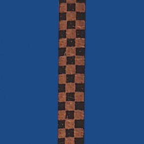 FCS5BN