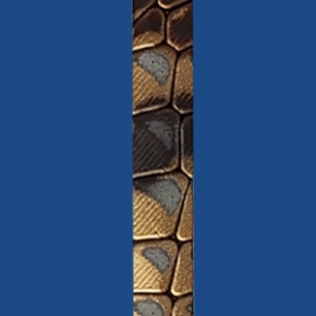 FSP10GYGP