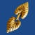 cl178b_1870704976