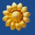 mg63bg