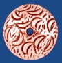 ca276cu