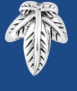 ca320_347894172