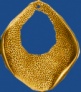 dp185b