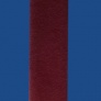 FIT10BGY