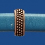 SL13AC